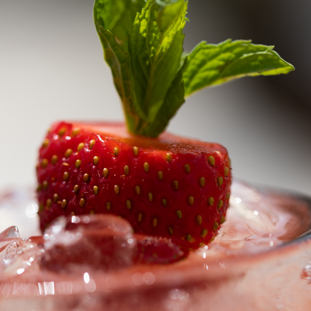 Regatta-home-slider-img-08